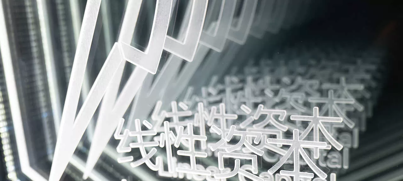 线性资本(图10)